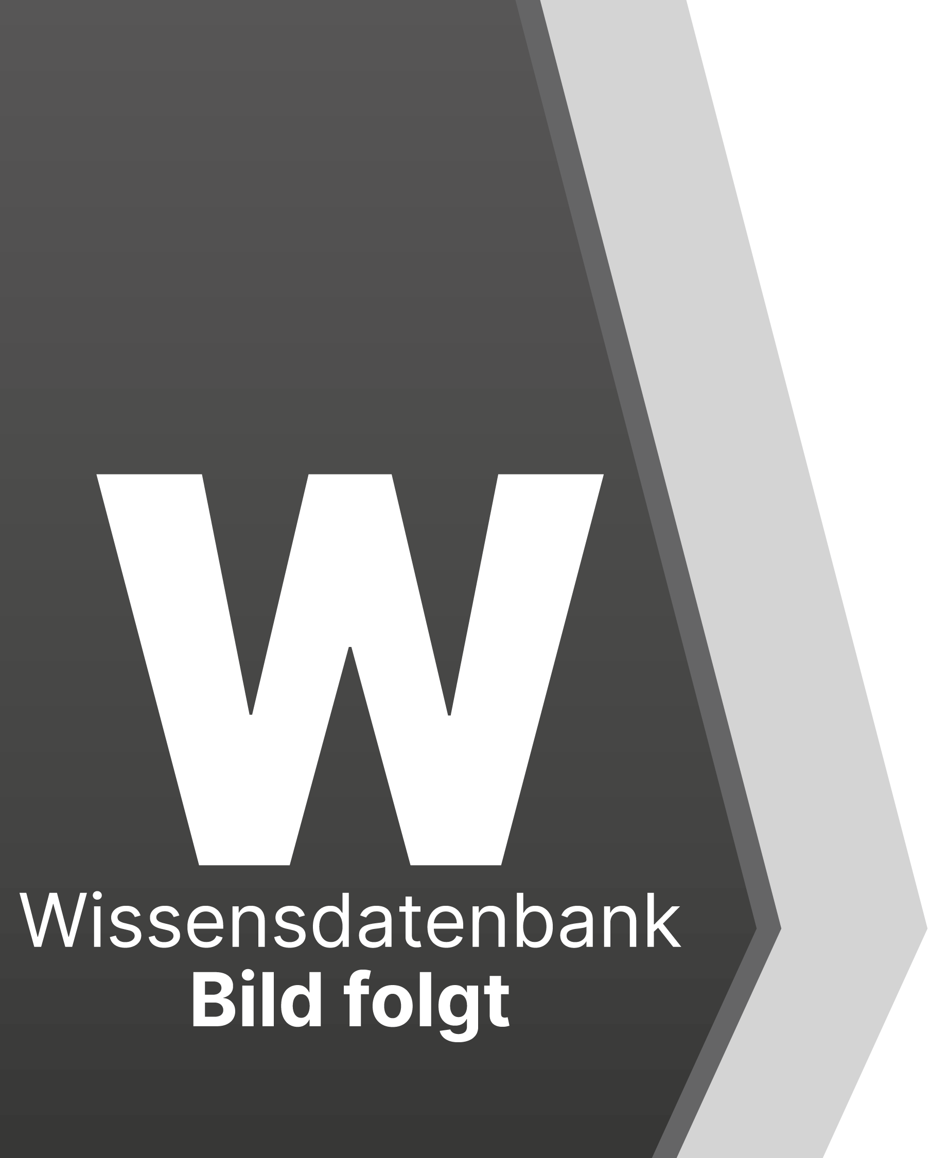 Kein Overlay vorhanden